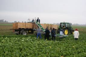 KÖÖGIVILJAKOORISTUSE TRANSPORTERID