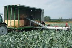 KÖÖGIVILJAKOORISTUSE TRANSPORTERID