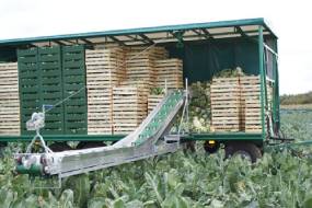 KÖÖGIVILJAKOORISTUSE TRANSPORTERID