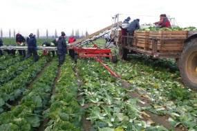 KÖÖGIVILJAKOORISTUSE TRANSPORTERID