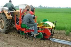 MASINAD TAIMEDE KATMISEKS