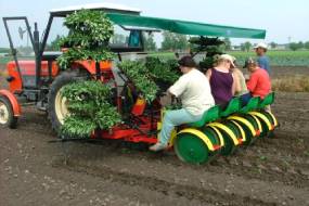 KARUSELLIISTUTUSVAHENDID