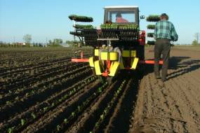 KARUSELLIISTUTUSVAHENDID