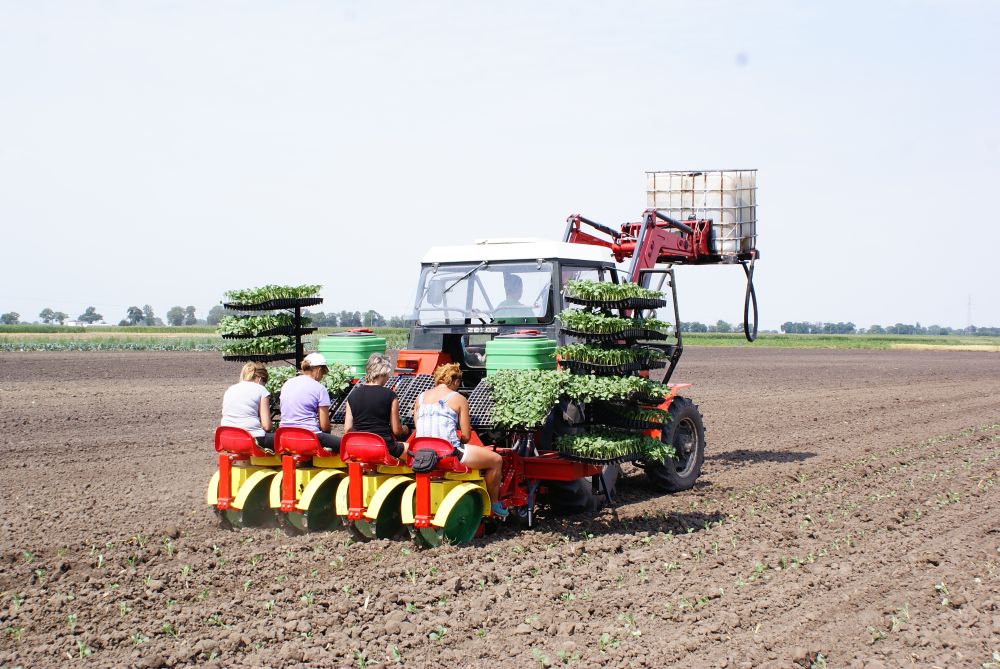 KARUSELLIISTUTUSVAHENDID