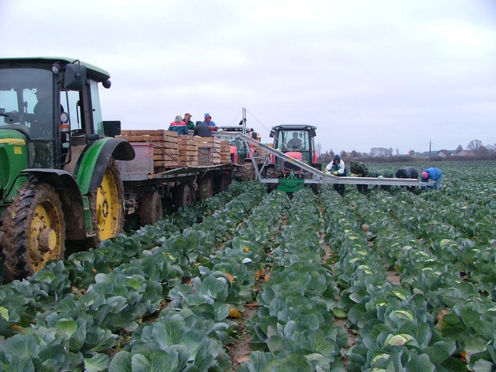 KÖÖGIVILJAKOORISTUSE TRANSPORTERID