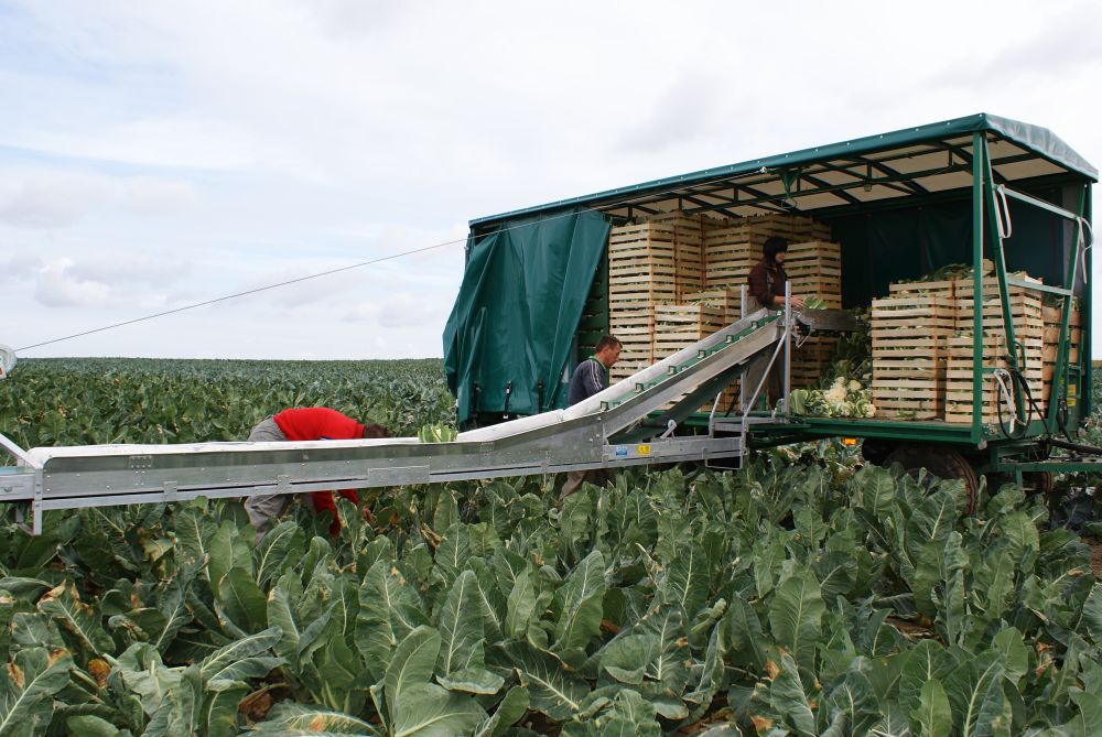 KÖÖGIVILJAKOORISTUSE TRANSPORTERID
